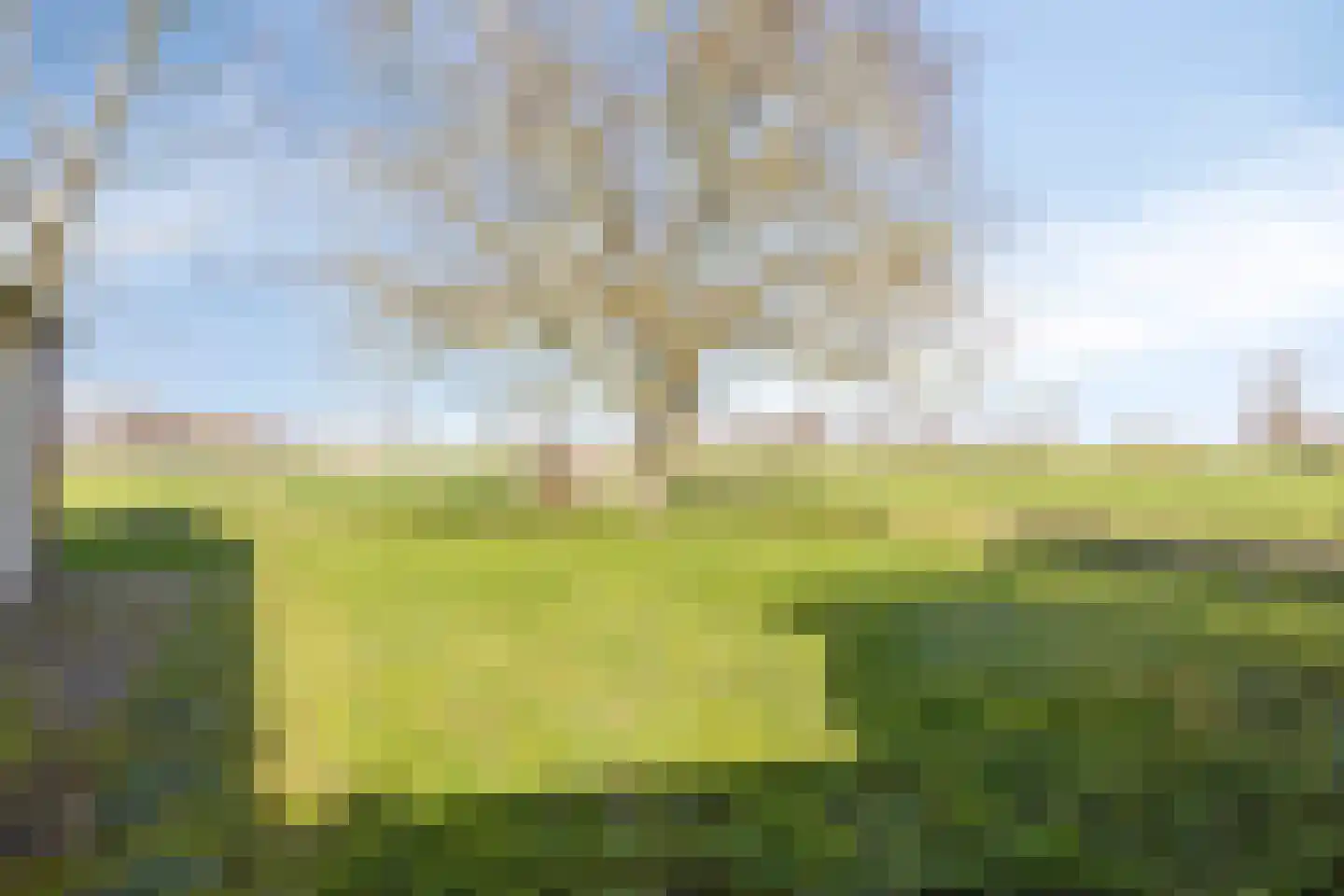 Barbesteinweg 9 Heinkenszand thumbnail 55