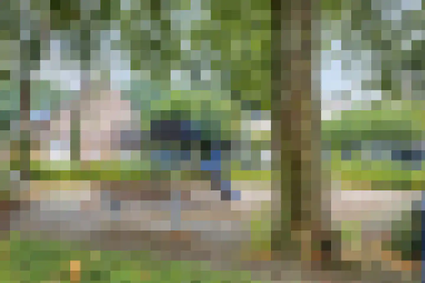 Barbier 20 Beuningen Gld thumbnail 36