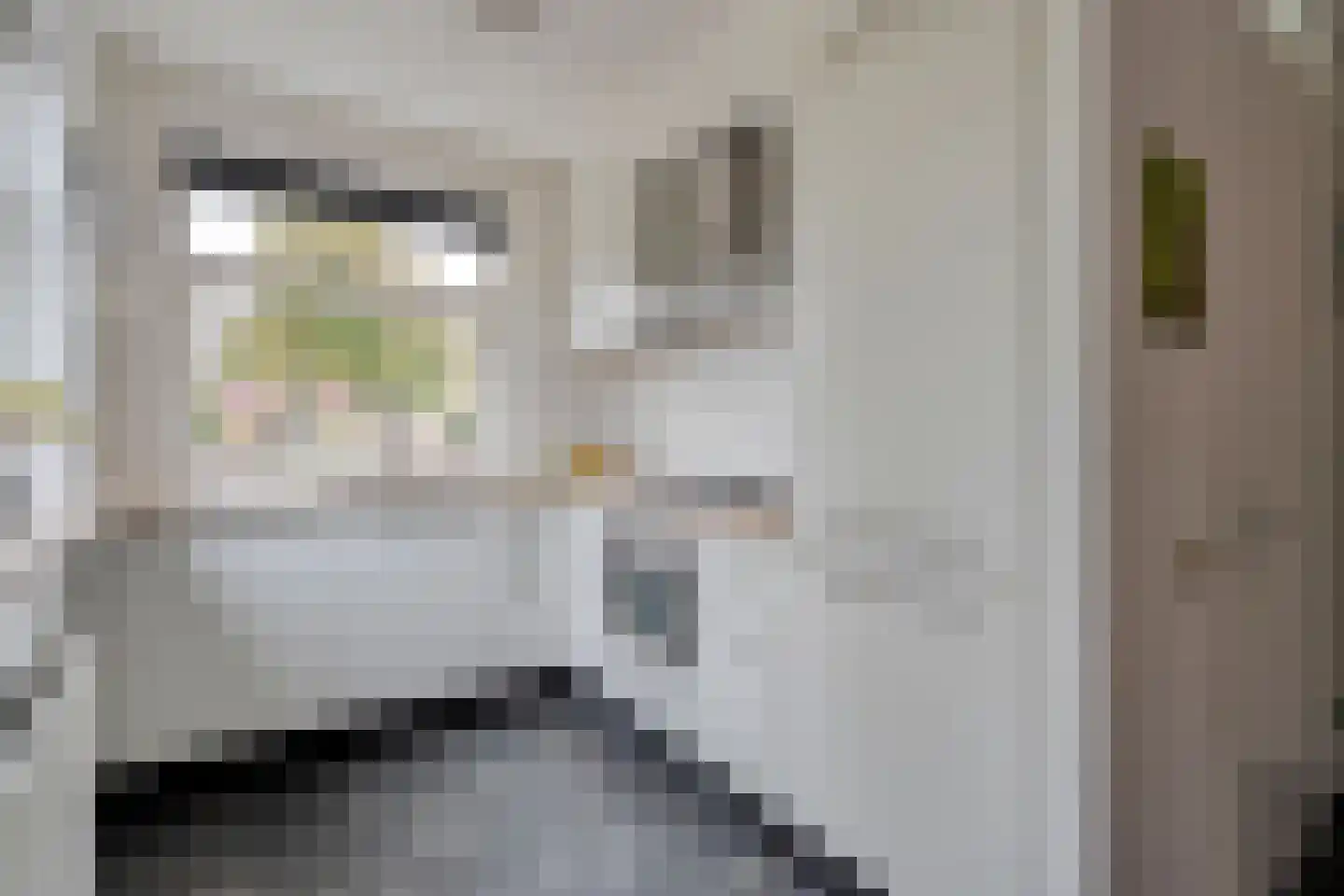 Barbierlaan 14 Dalfsen thumbnail 13