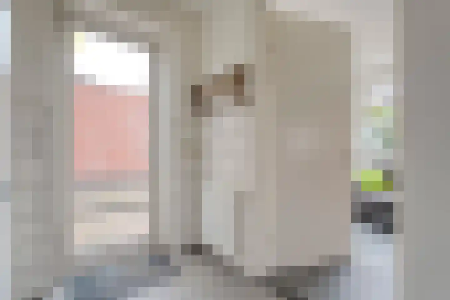 Barbierlaan 14 Dalfsen thumbnail 17