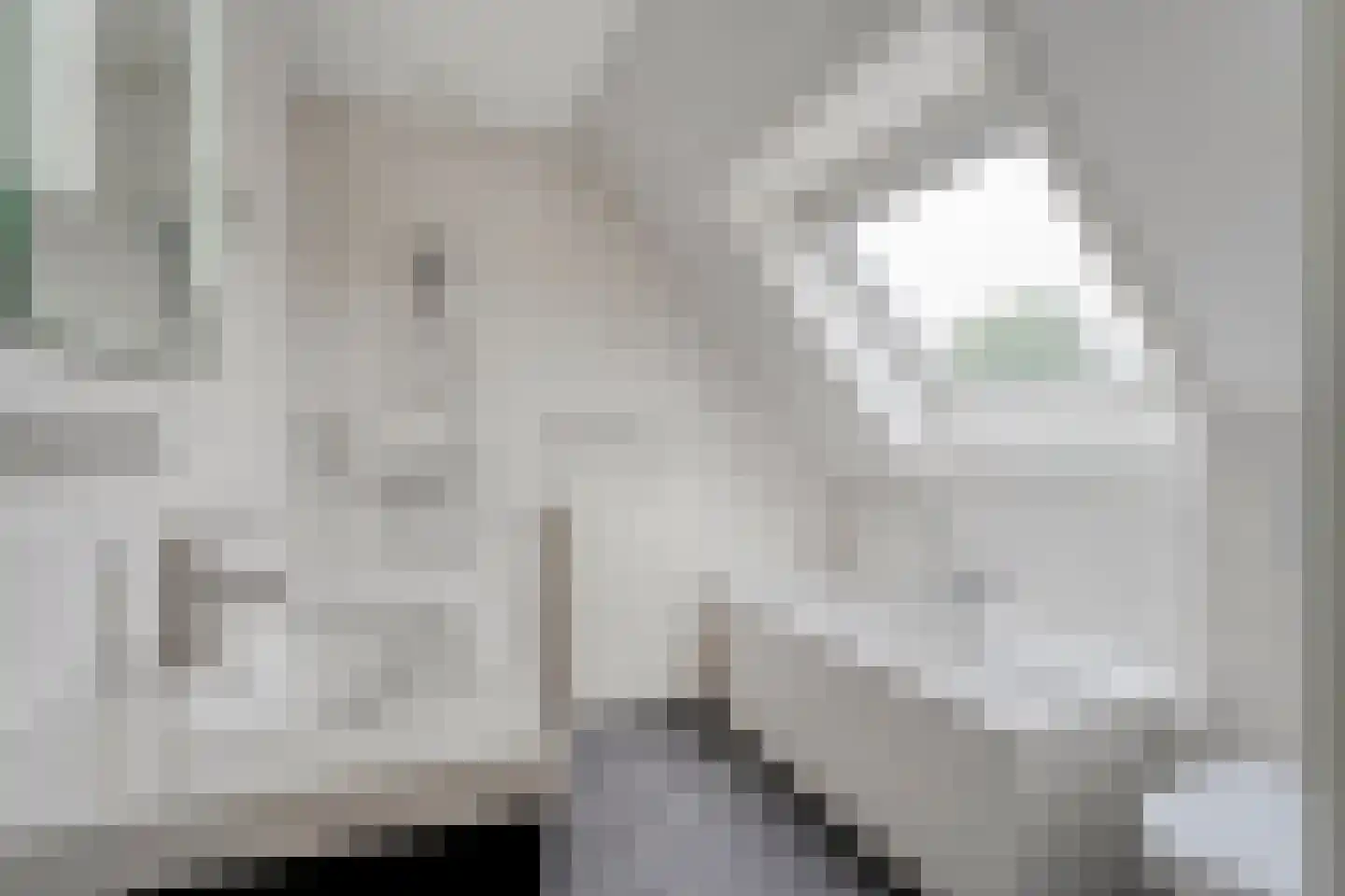 Barbierlaan 14 Dalfsen thumbnail 21