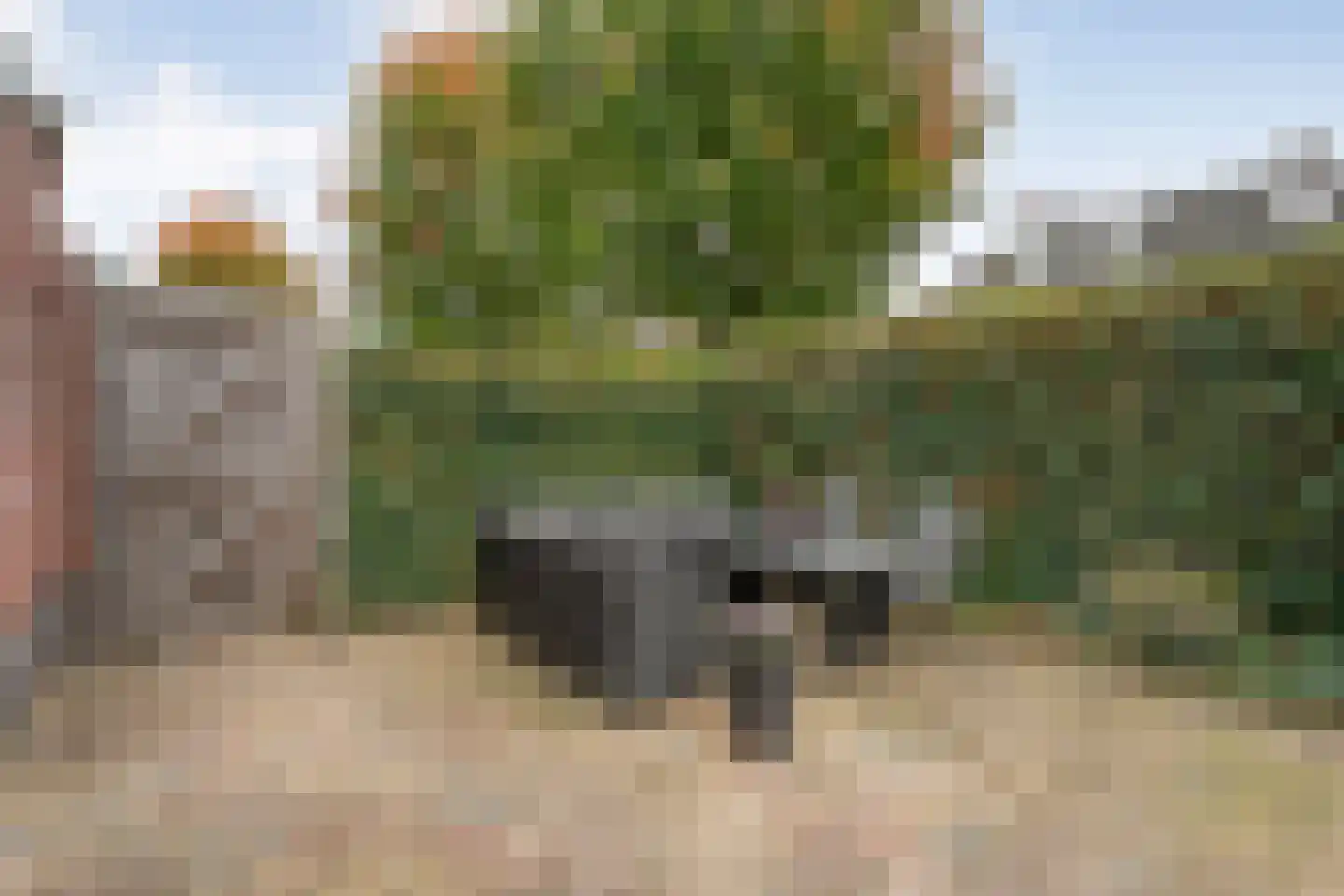 Barbierlaan 14 Dalfsen thumbnail 29