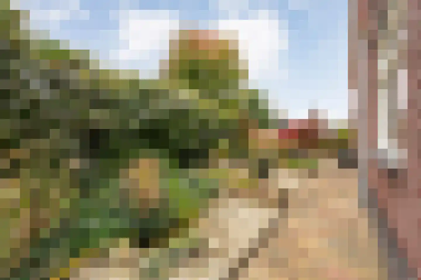 Barbierlaan 14 Dalfsen thumbnail 30