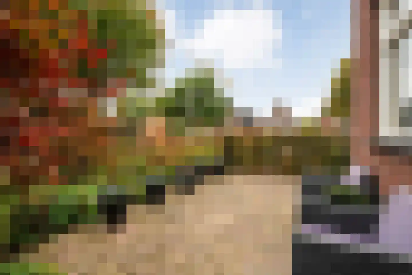 Barbierlaan 14 Dalfsen thumbnail 31