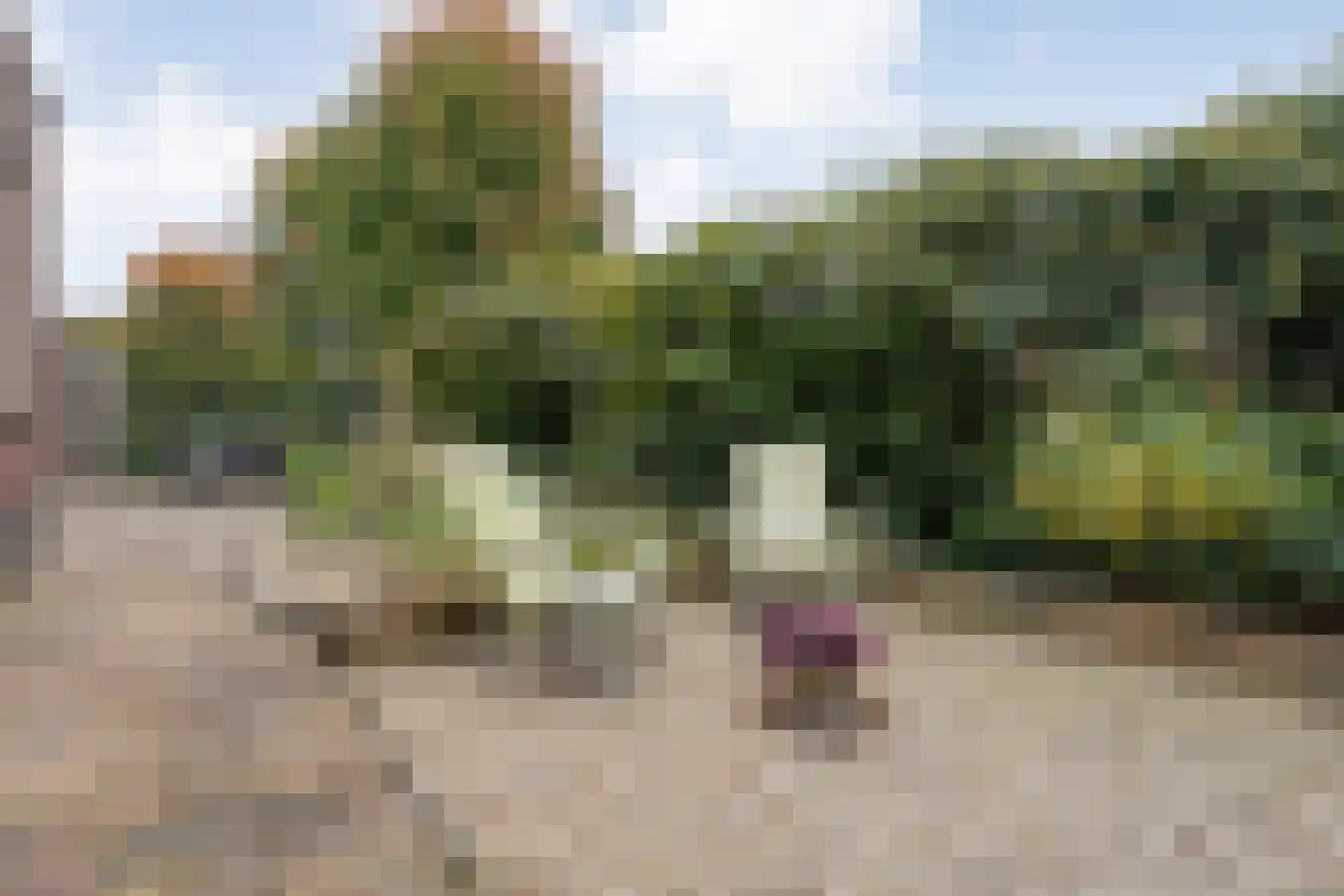 Barbierlaan 14 Dalfsen thumbnail 32