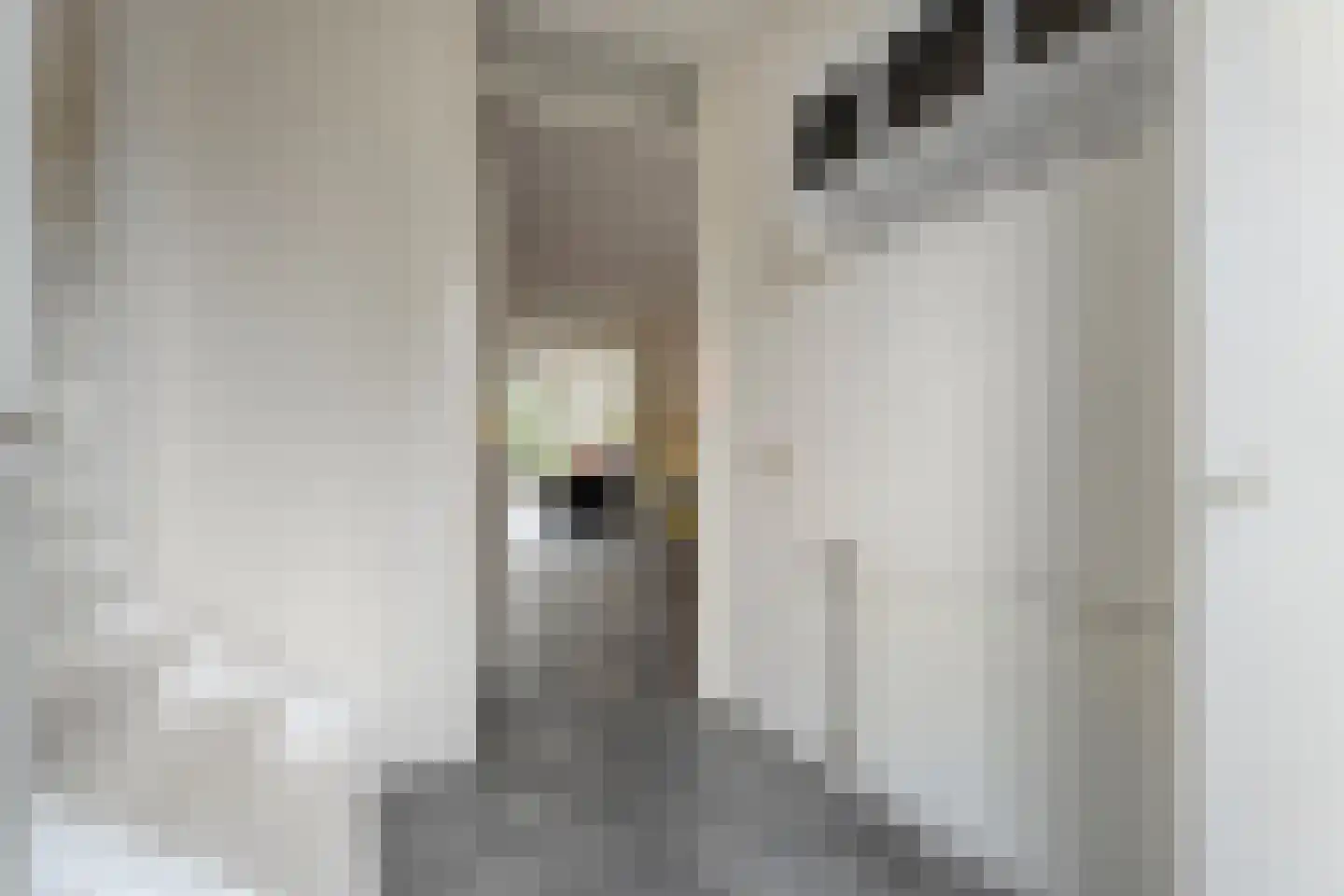 Barbierlaan 14 Dalfsen thumbnail 7