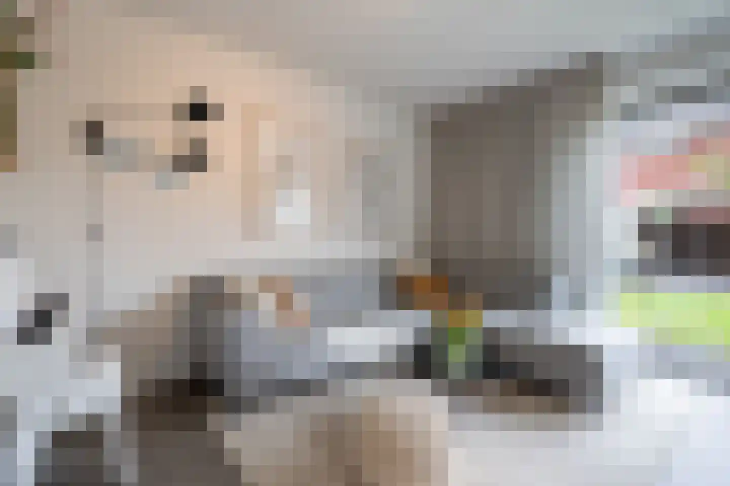 Barbierlaan 22 Dalfsen thumbnail 10
