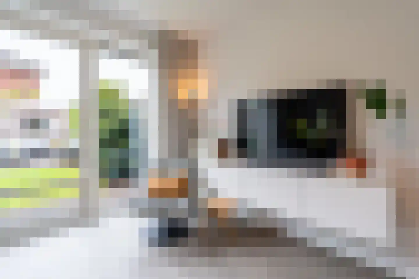 Barbierlaan 22 Dalfsen thumbnail 13