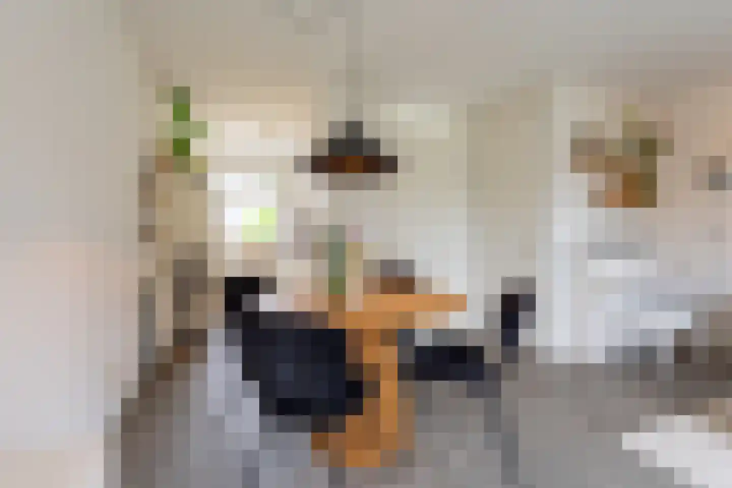 Barbierlaan 22 Dalfsen thumbnail 17