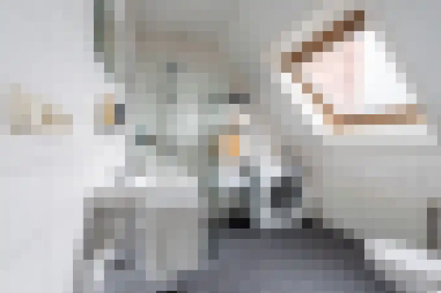 Barbierlaan 22 Dalfsen thumbnail 24