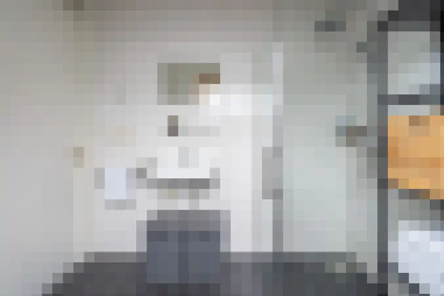 Barbierlaan 22 Dalfsen thumbnail 25
