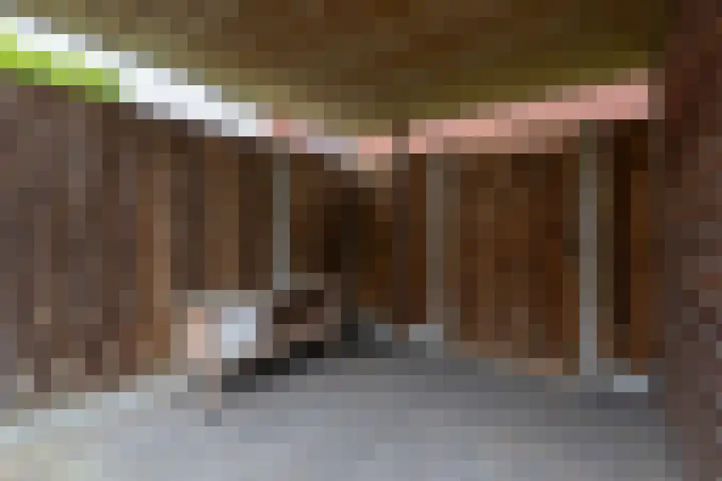 Barbierlaan 22 Dalfsen thumbnail 39