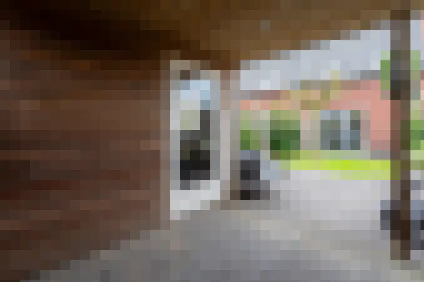 Barbierlaan 22 Dalfsen thumbnail 40
