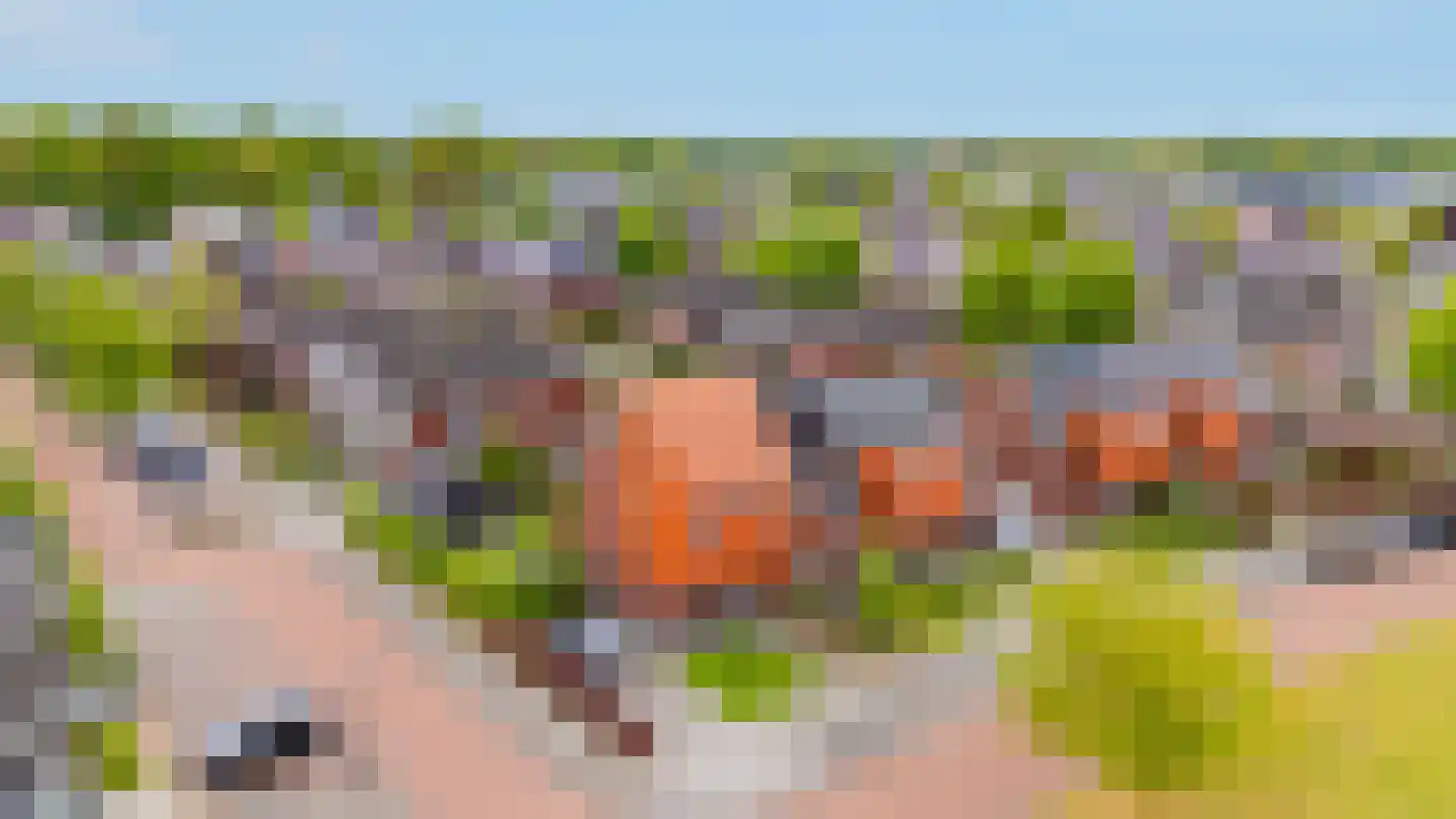 Barbierlaan 22 Dalfsen thumbnail 44