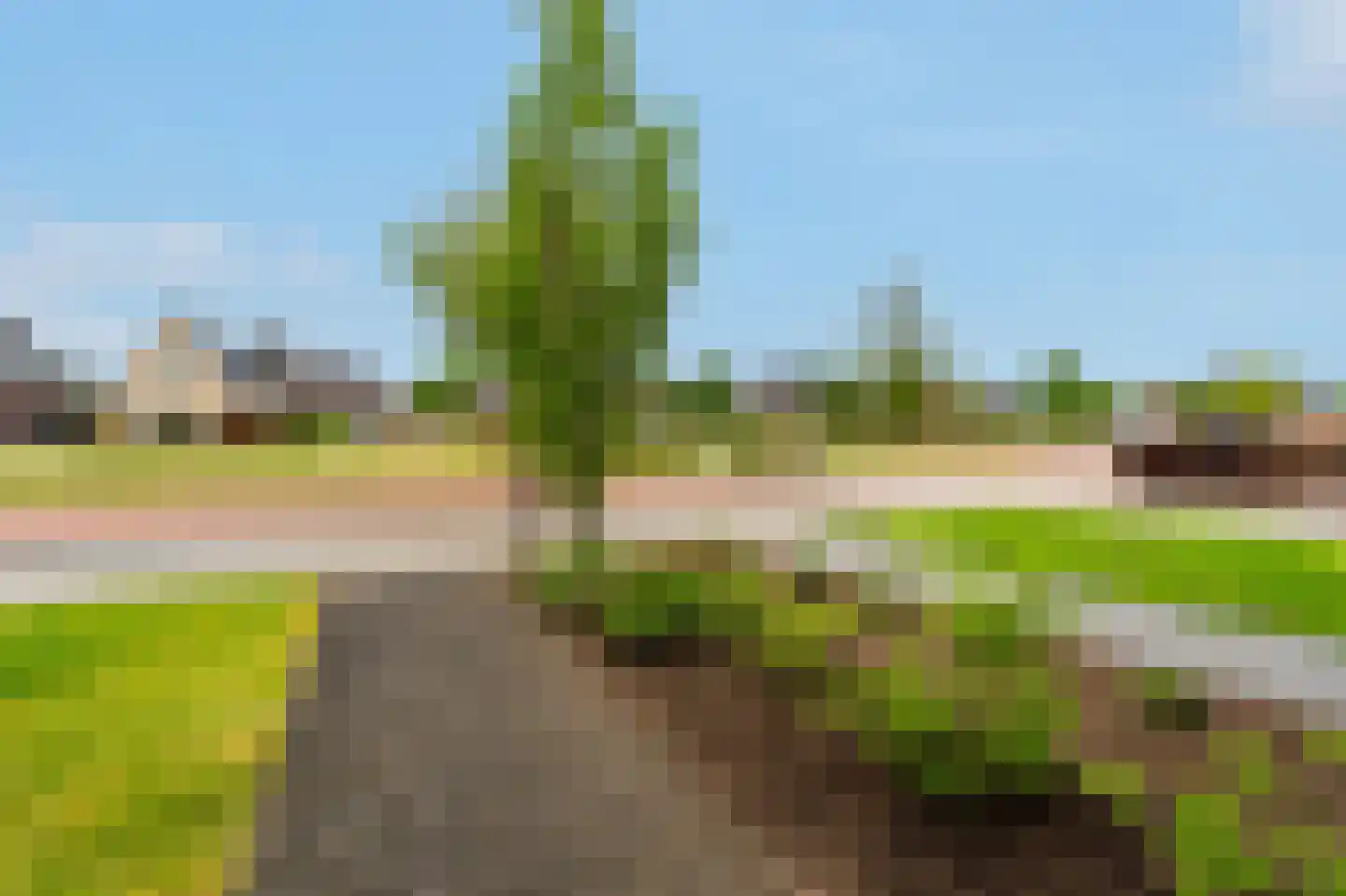 Barbierlaan 22 Dalfsen thumbnail 46