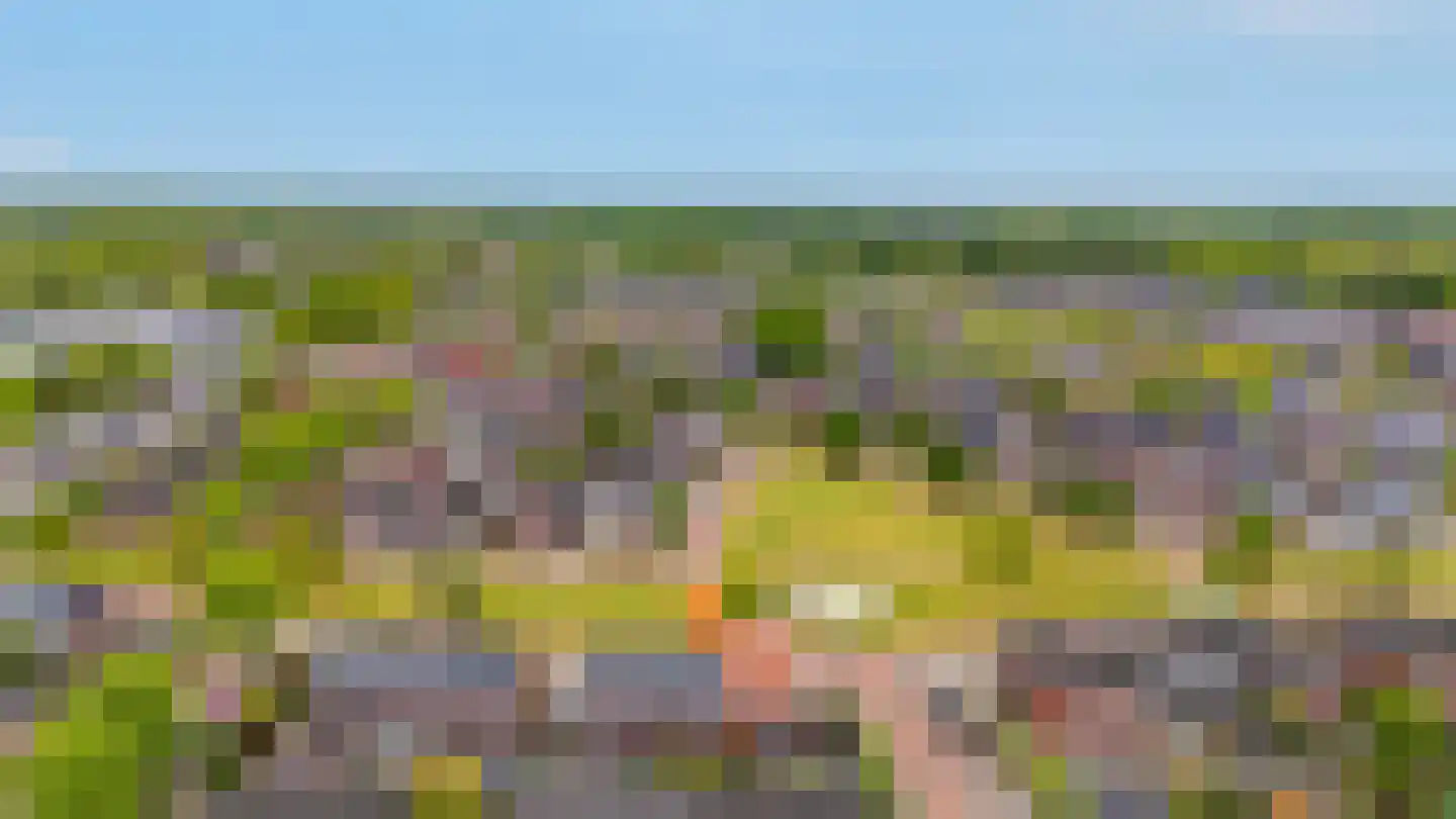 Barbierlaan 22 Dalfsen thumbnail 47