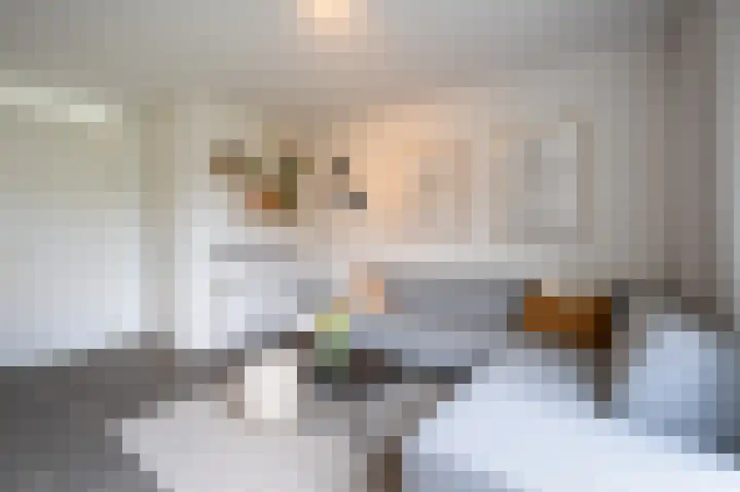 Barbierlaan 22 Dalfsen thumbnail 9
