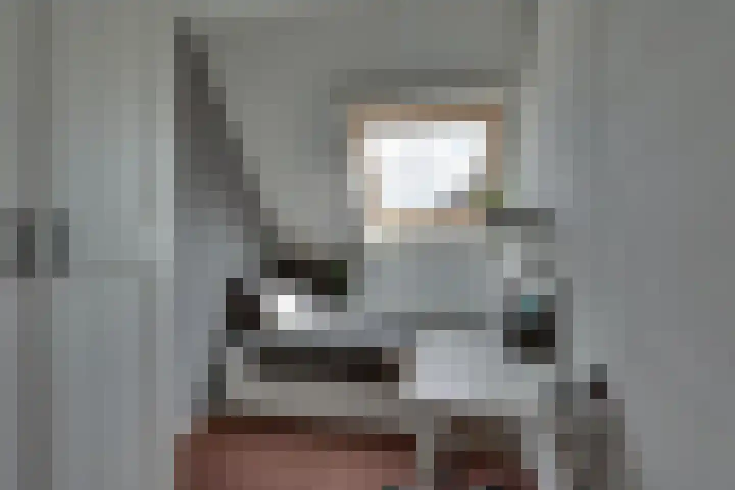Barbierlaan 4 Dalfsen thumbnail 12