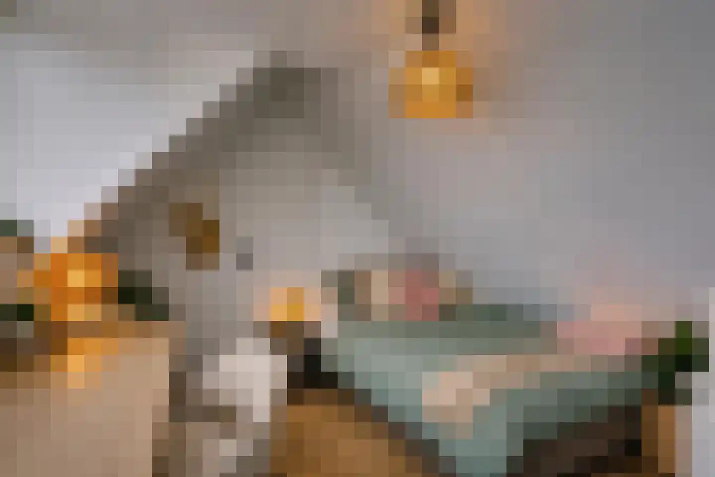 Barbierlaan 4 Dalfsen thumbnail 15