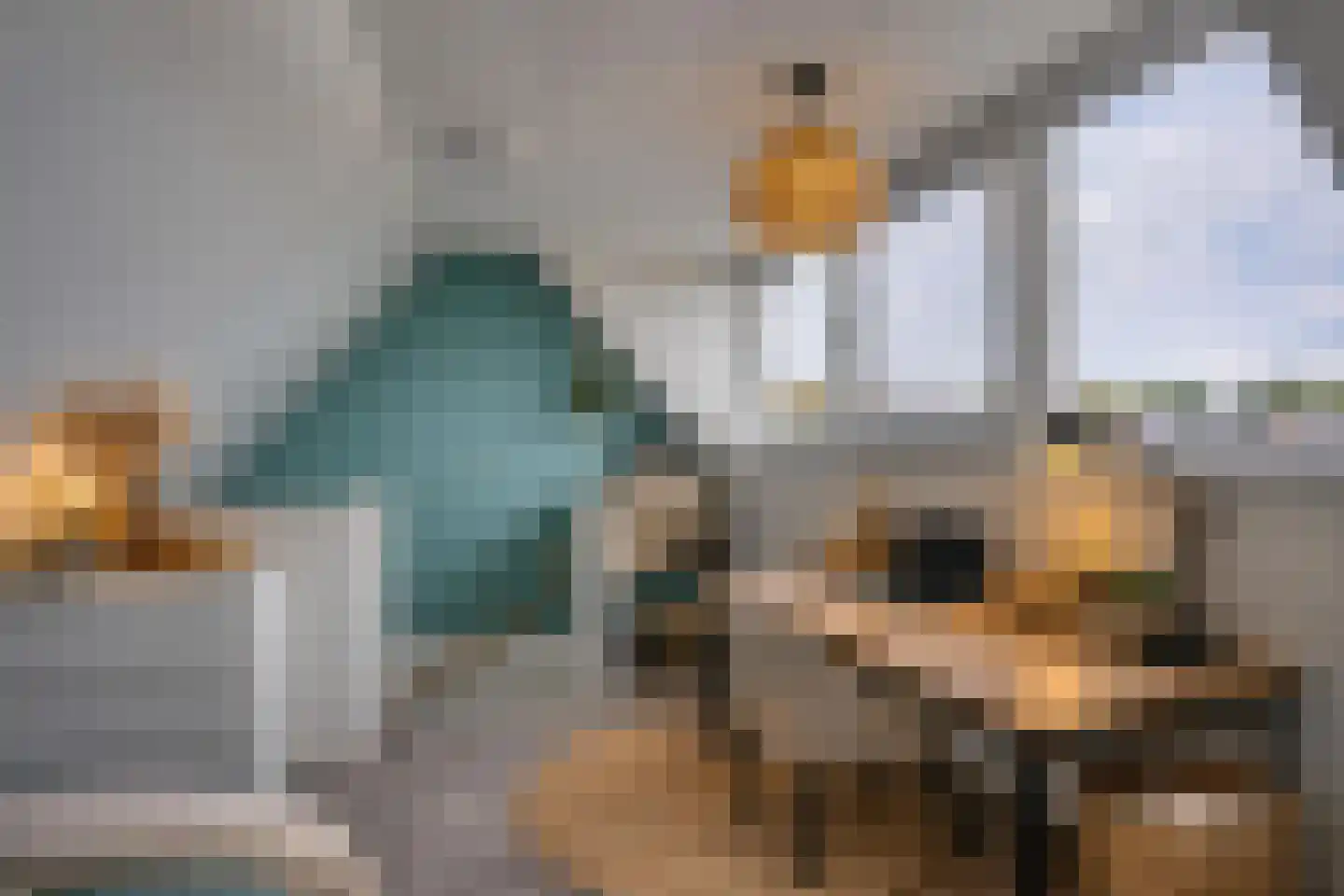 Barbierlaan 4 Dalfsen thumbnail 16