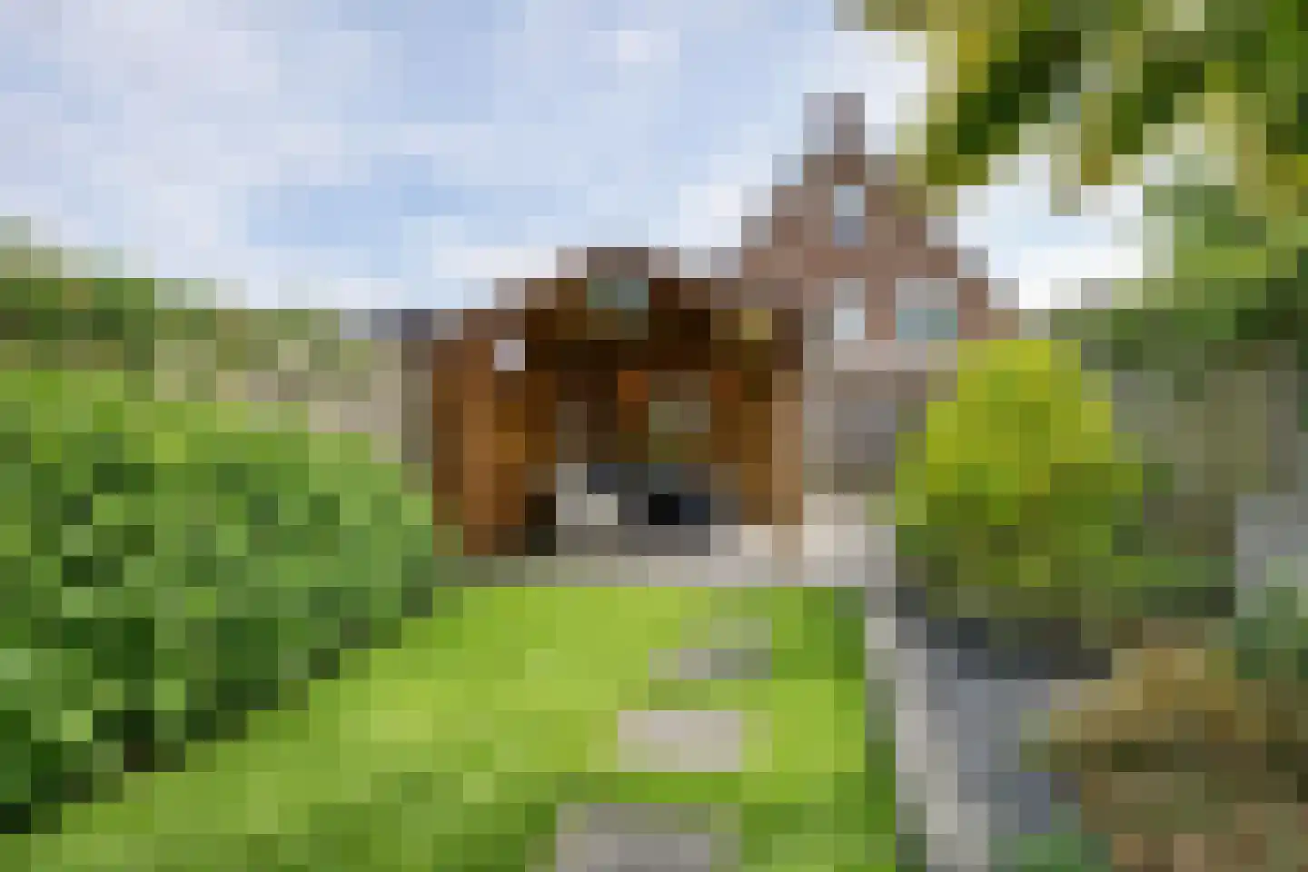 Barbierlaan 4 Dalfsen thumbnail 19