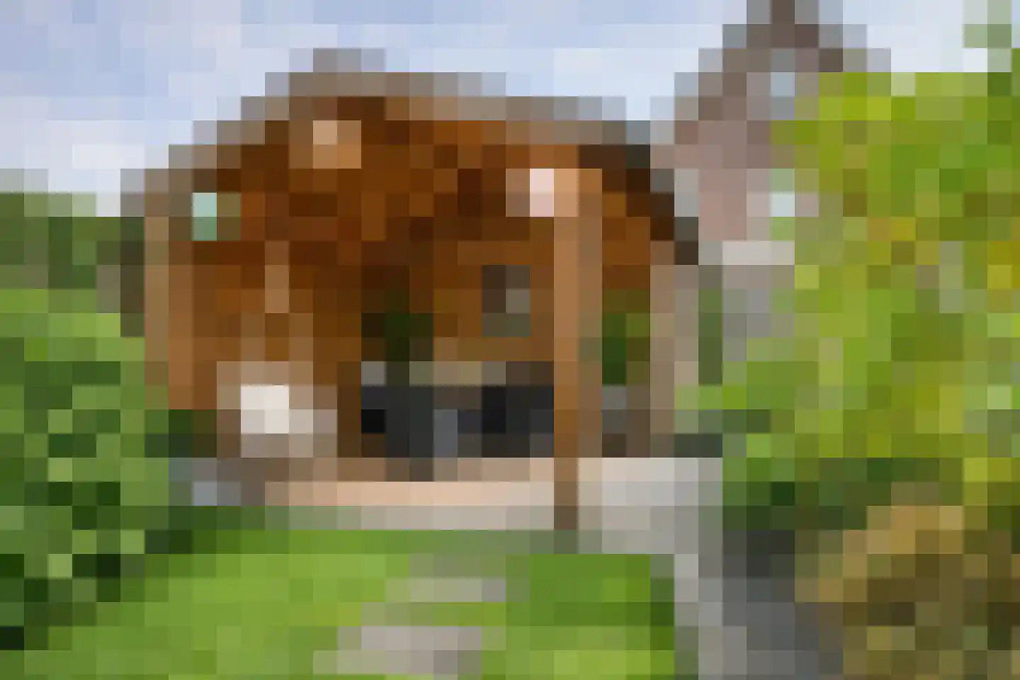 Barbierlaan 4 Dalfsen thumbnail 20