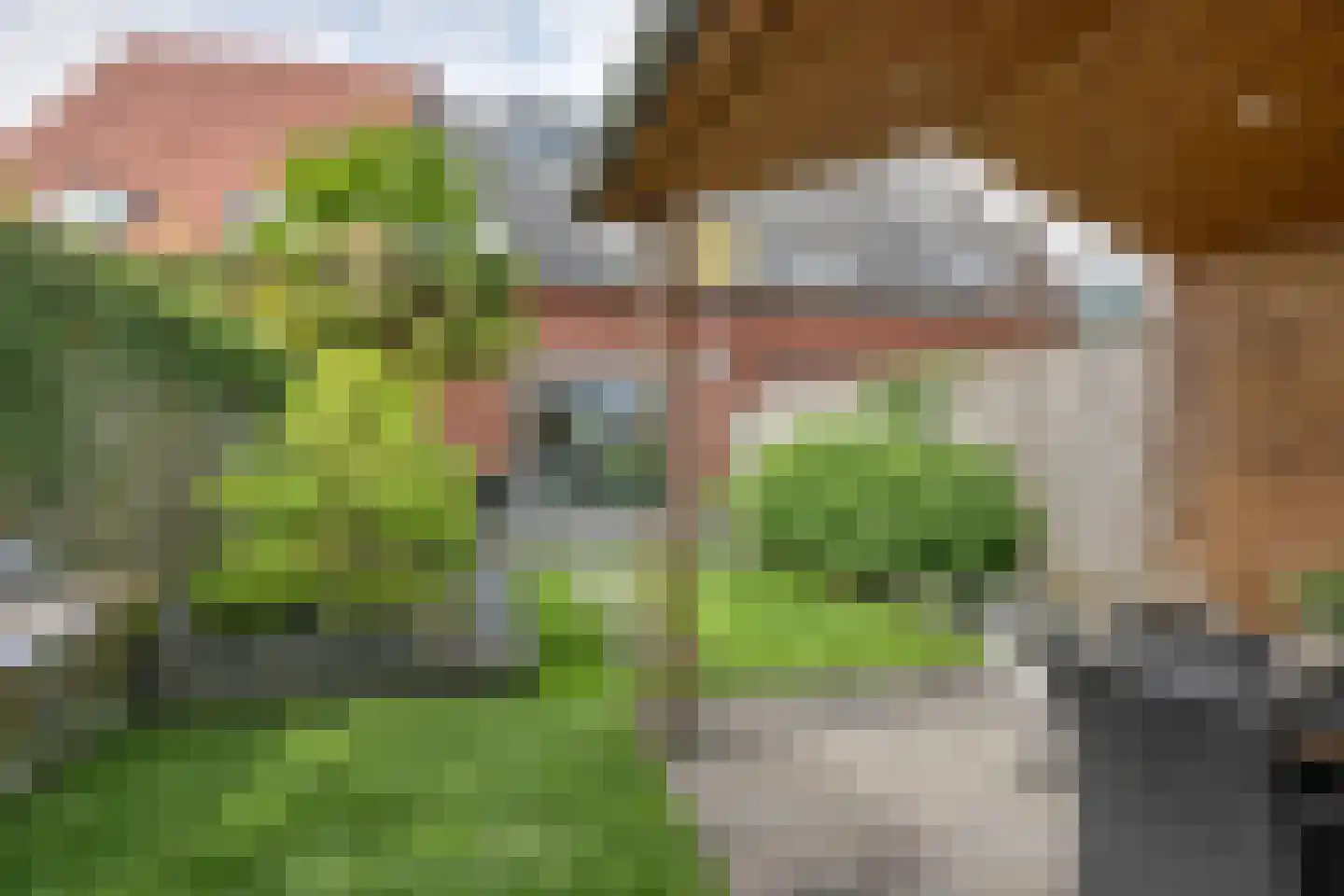 Barbierlaan 4 Dalfsen thumbnail 21