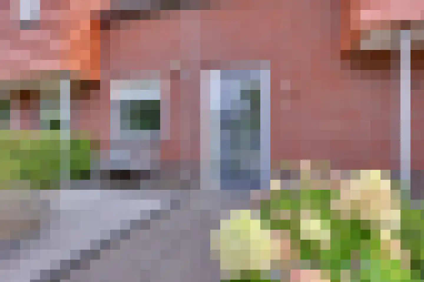 Barbierlaan 4 Dalfsen thumbnail 22