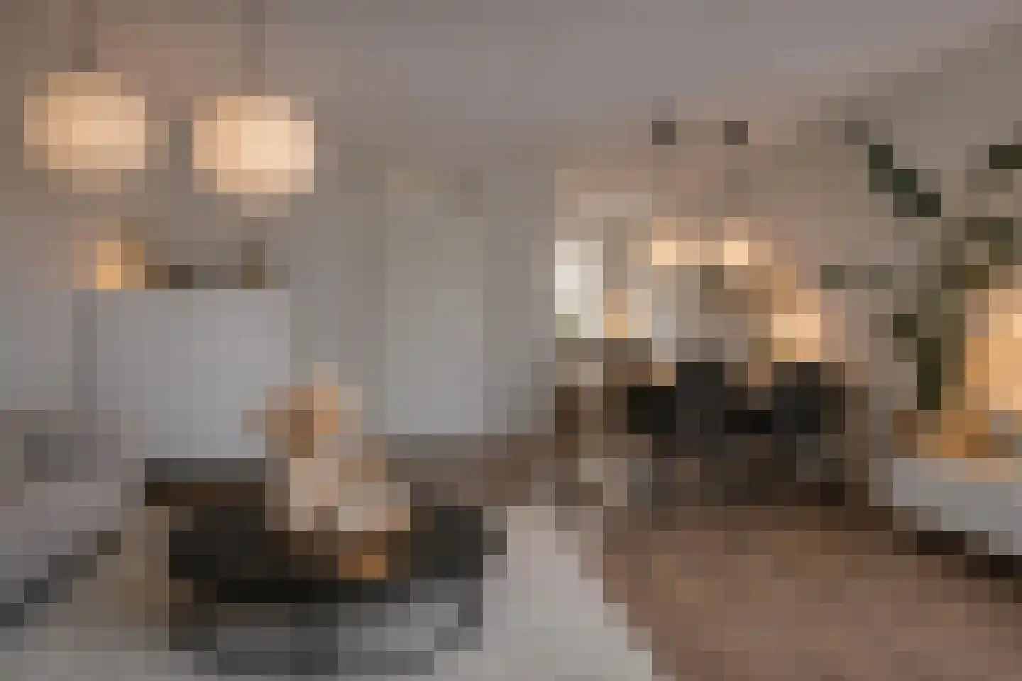 Barbierlaan 4 Dalfsen thumbnail 5