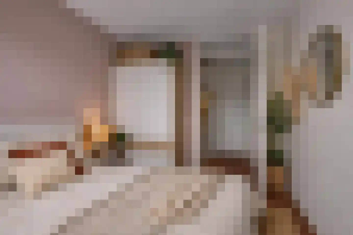 Barbierlaan 4 Dalfsen thumbnail 8