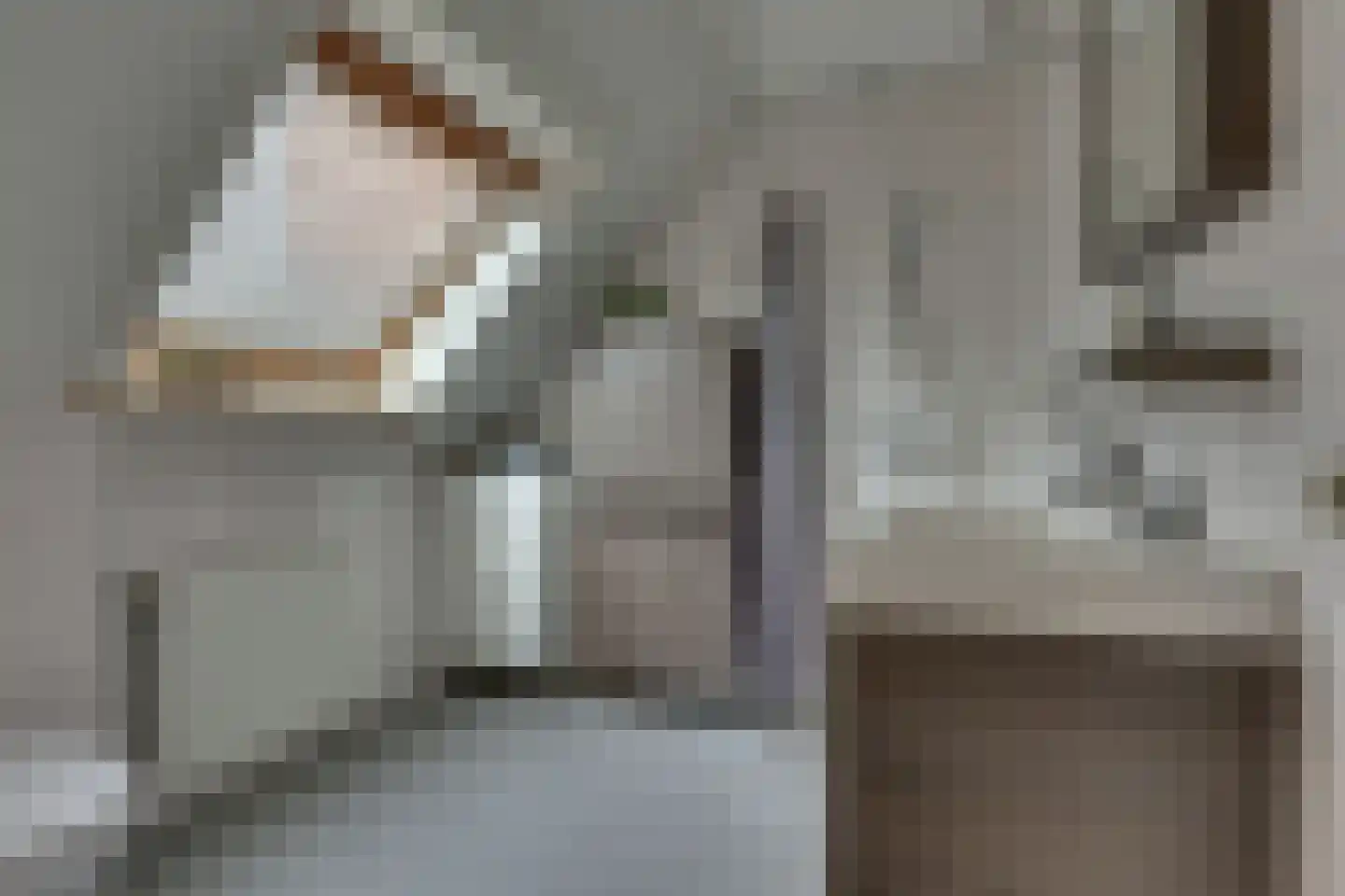Barbierlaan 4 Dalfsen thumbnail 9