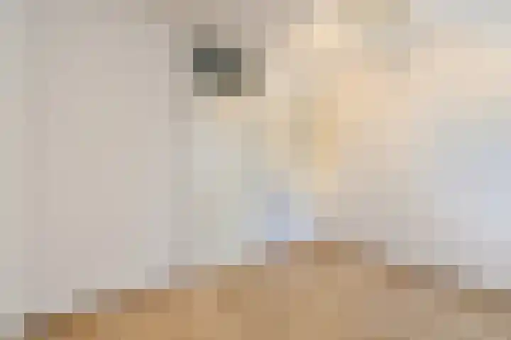 Barbierpad 1 Schiedam thumbnail 15
