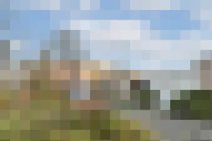 Barbierpad 1 Schiedam thumbnail 23