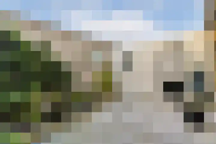 Barbierpad 1 Schiedam thumbnail 8