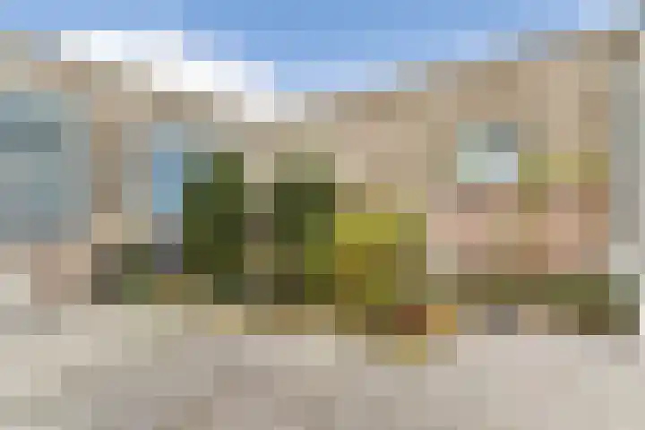 Barbierpad 1 Schiedam thumbnail 9