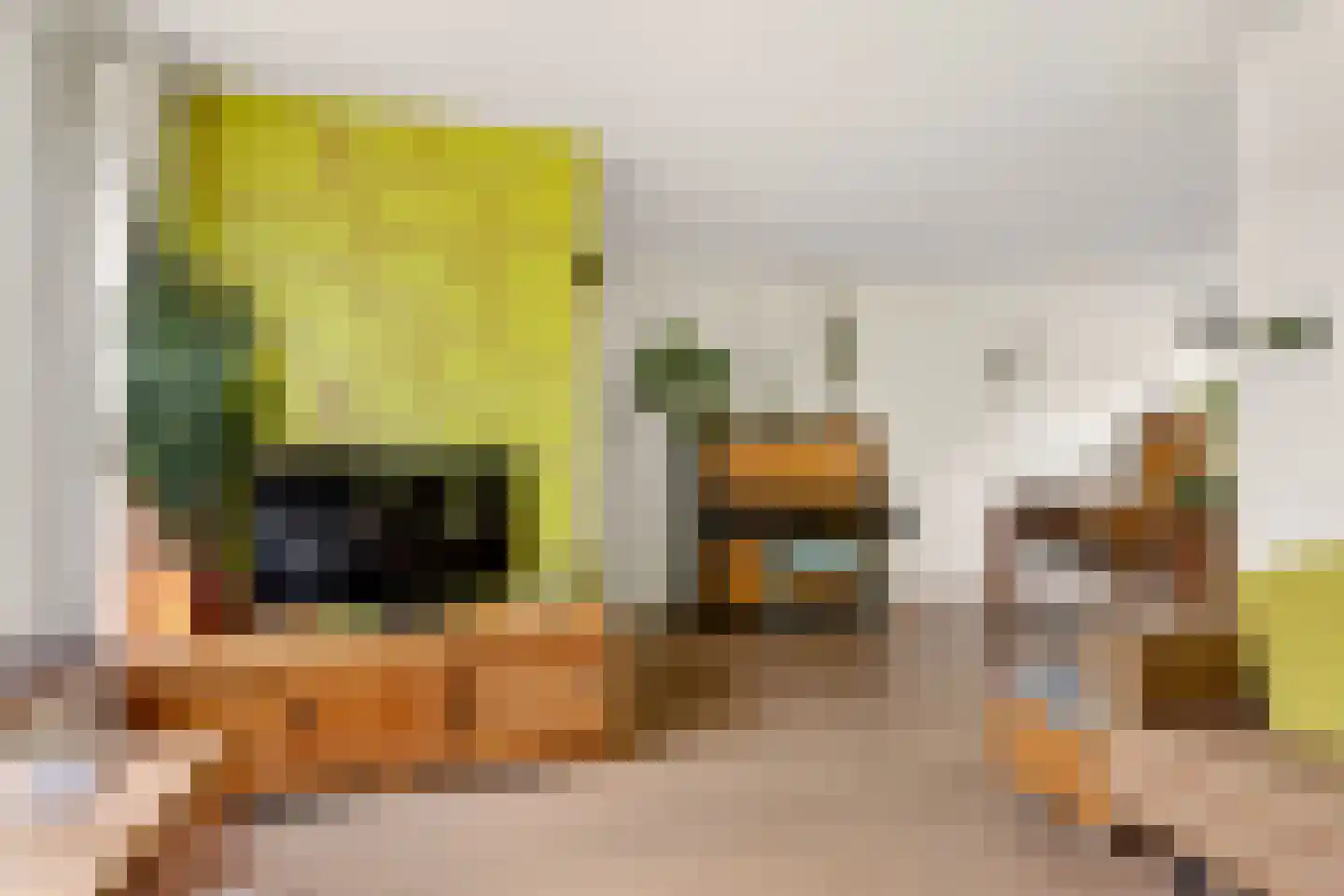Barbiersgilde 18 Houten thumbnail 10