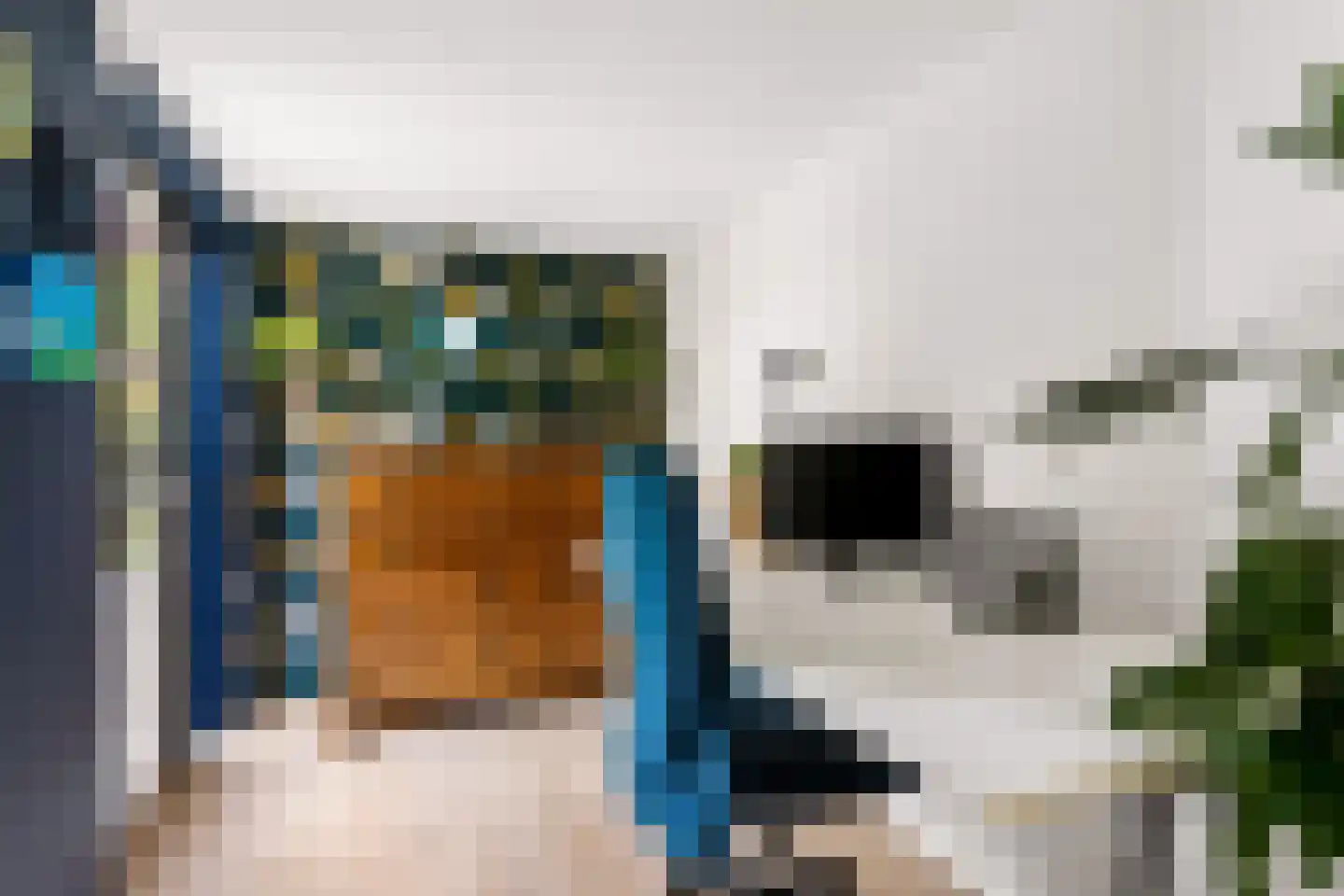 Barbiersgilde 18 Houten thumbnail 21