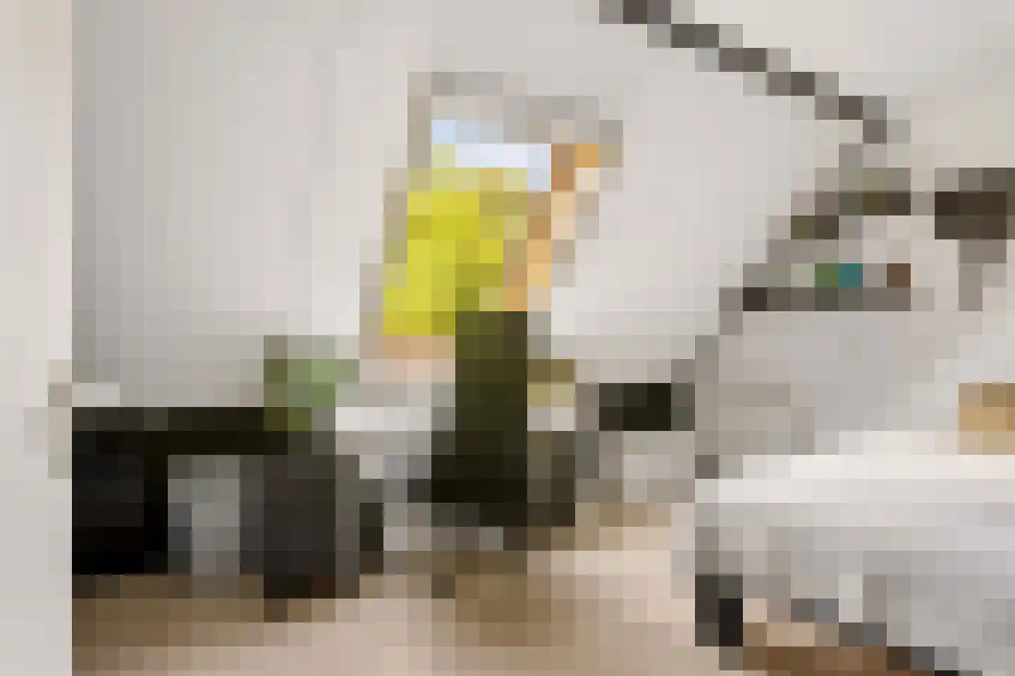 Barbiersgilde 18 Houten thumbnail 25