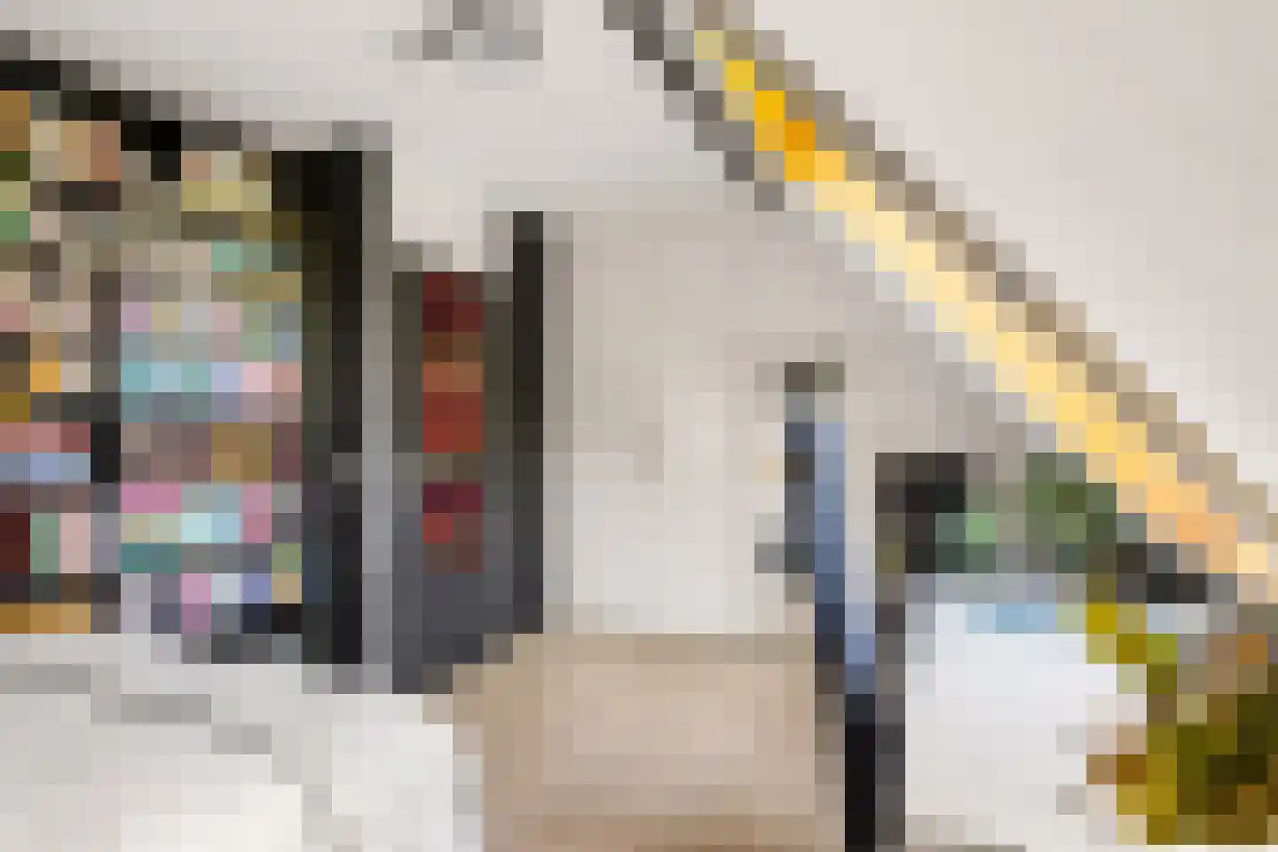 Barbiersgilde 18 Houten thumbnail 28
