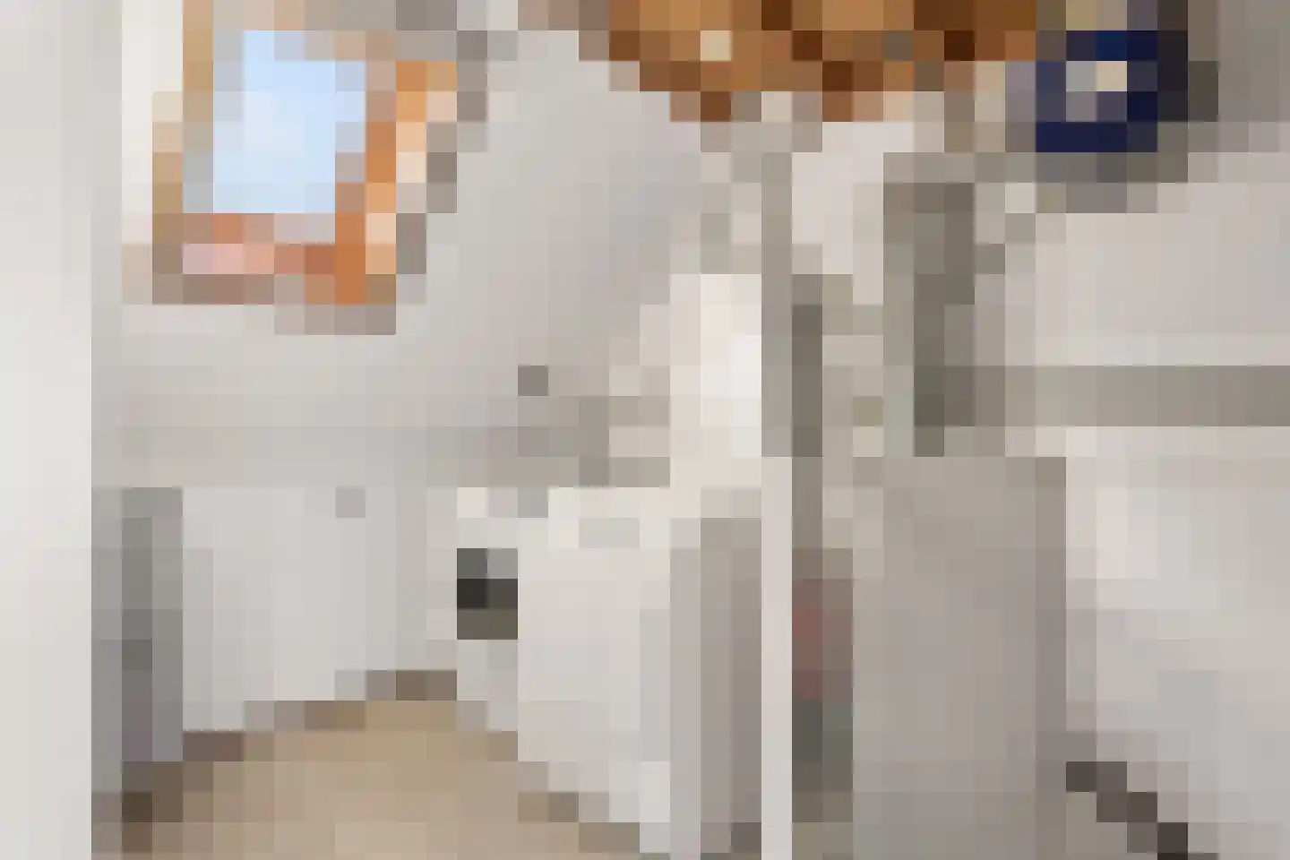 Barbiersgilde 18 Houten thumbnail 31