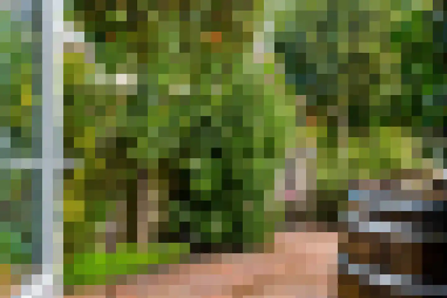 Barbiersgilde 18 Houten thumbnail 36