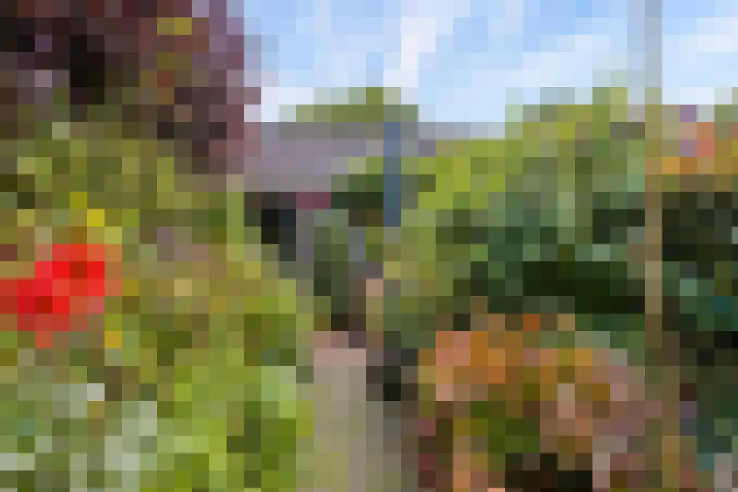 Barbiersgilde 18 Houten thumbnail 39