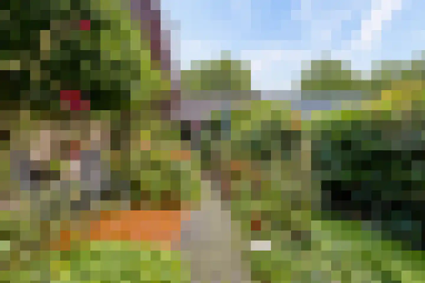 Barbiersgilde 18 Houten thumbnail 42