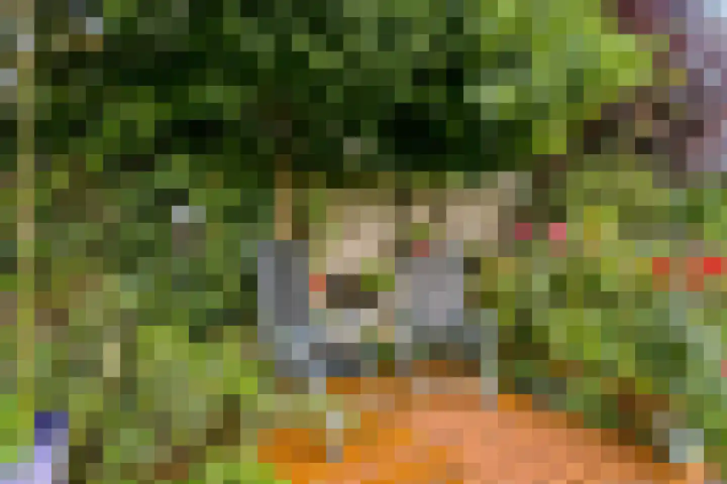 Barbiersgilde 18 Houten thumbnail 44