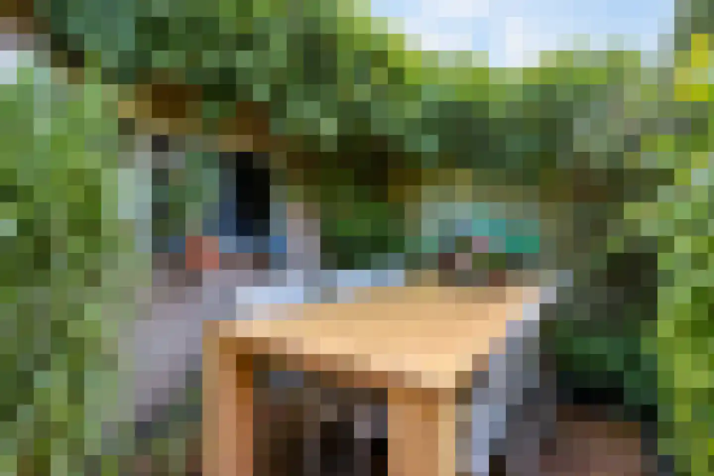 Barbiersgilde 18 Houten thumbnail 45
