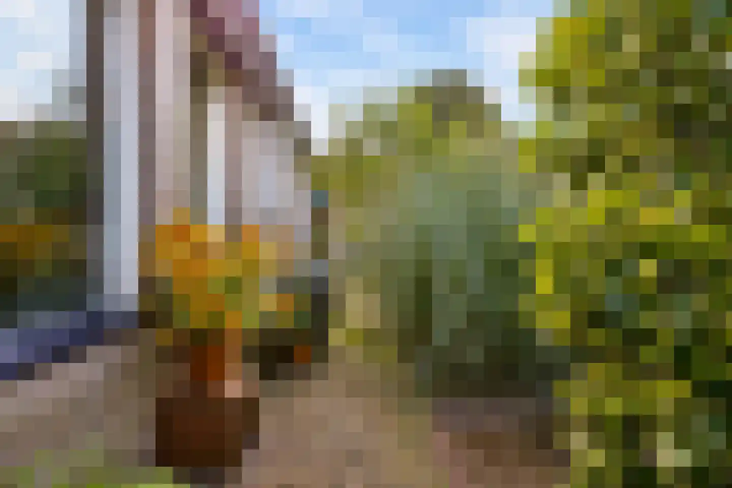 Barbiersgilde 18 Houten thumbnail 46