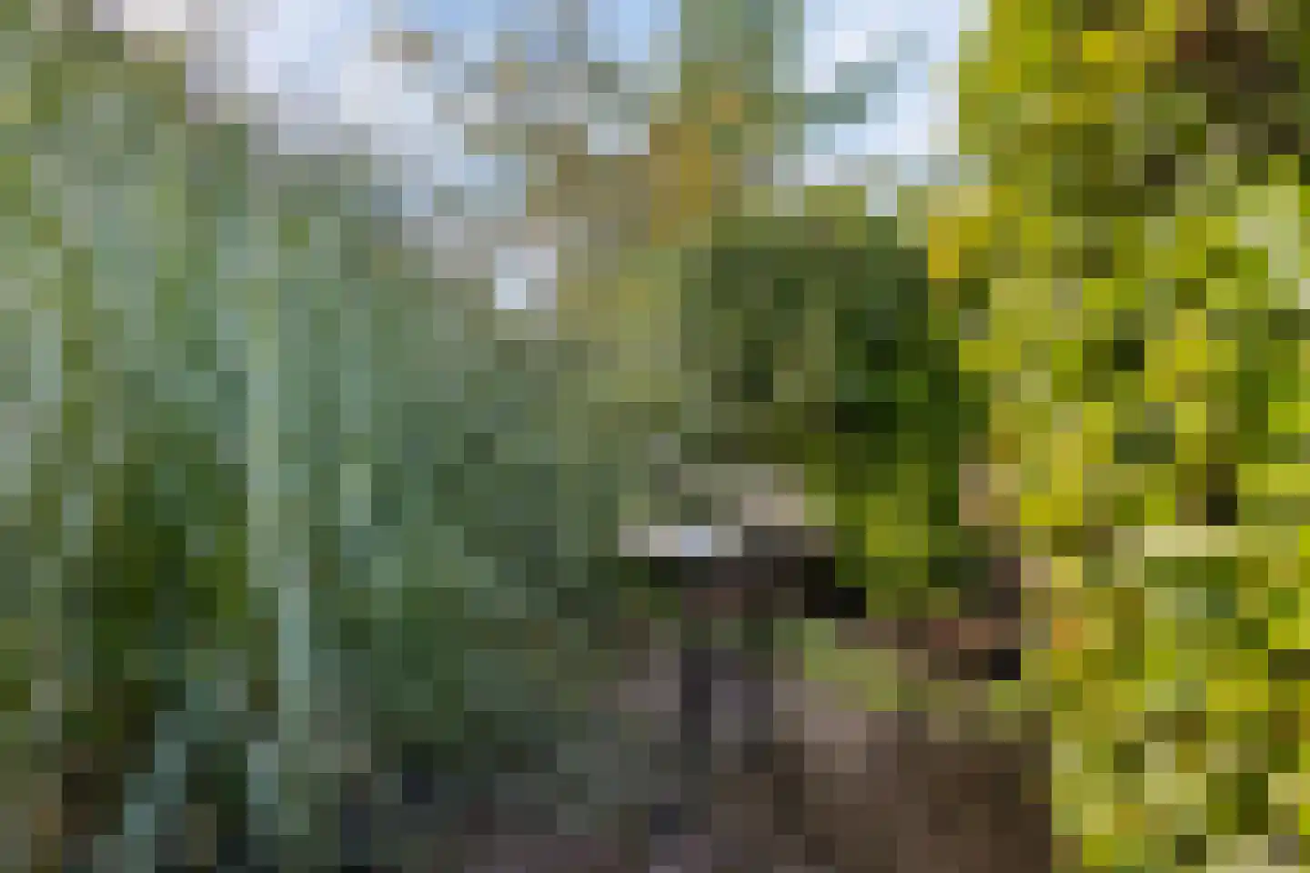 Barbiersgilde 18 Houten thumbnail 47