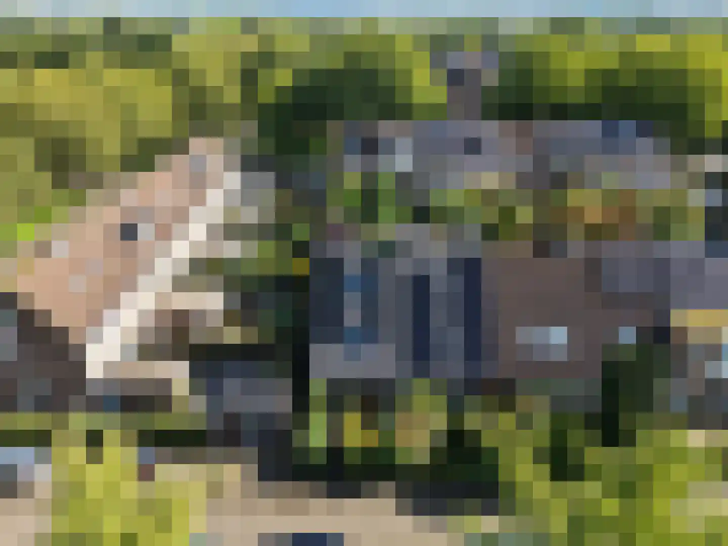 Barbiersgilde 18 Houten thumbnail 51