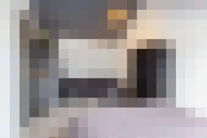 Barbiershoeve 103 Apeldoorn thumbnail 28