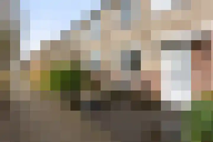 Barbiershoeve 103 Apeldoorn thumbnail 30